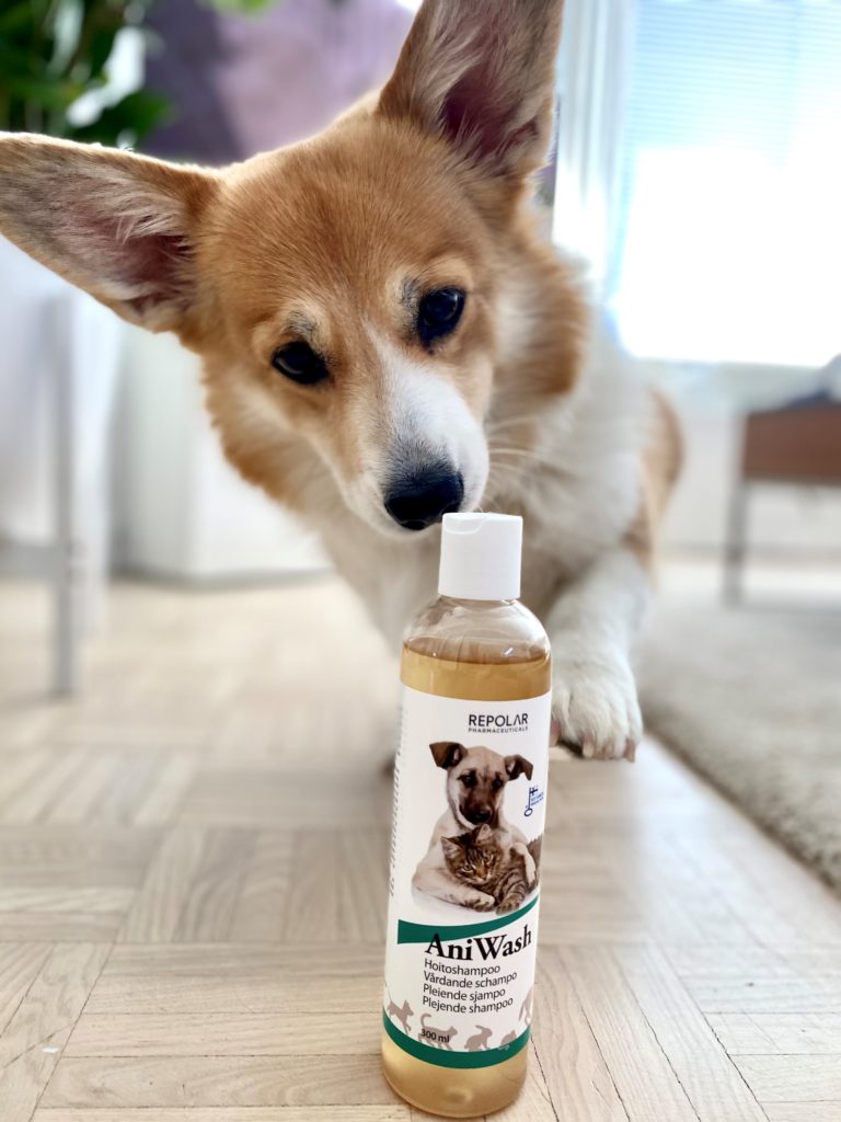 Foxy_AniWash