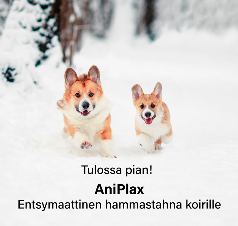 AniPlax entsymaattinen hammastahna koirille